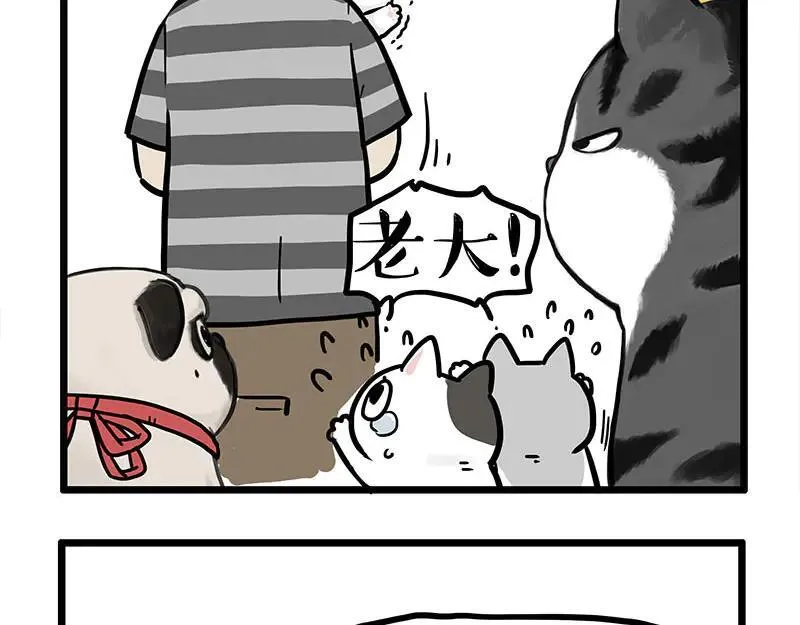 第440话 不要开这种玩笑 第14页