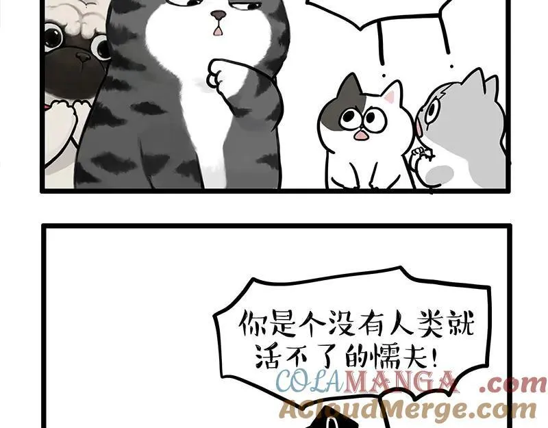 第440话 不要开这种玩笑 第21页