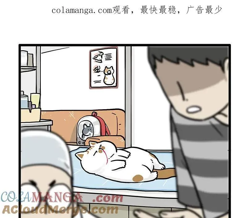 第441话 不要出卖老大！ 第1页