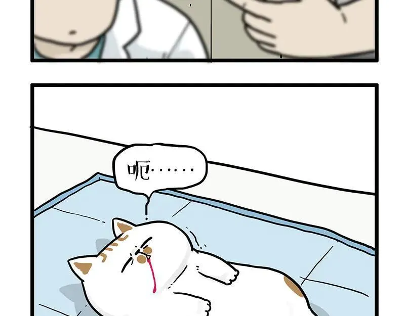 第441话 不要出卖老大！ 第2页