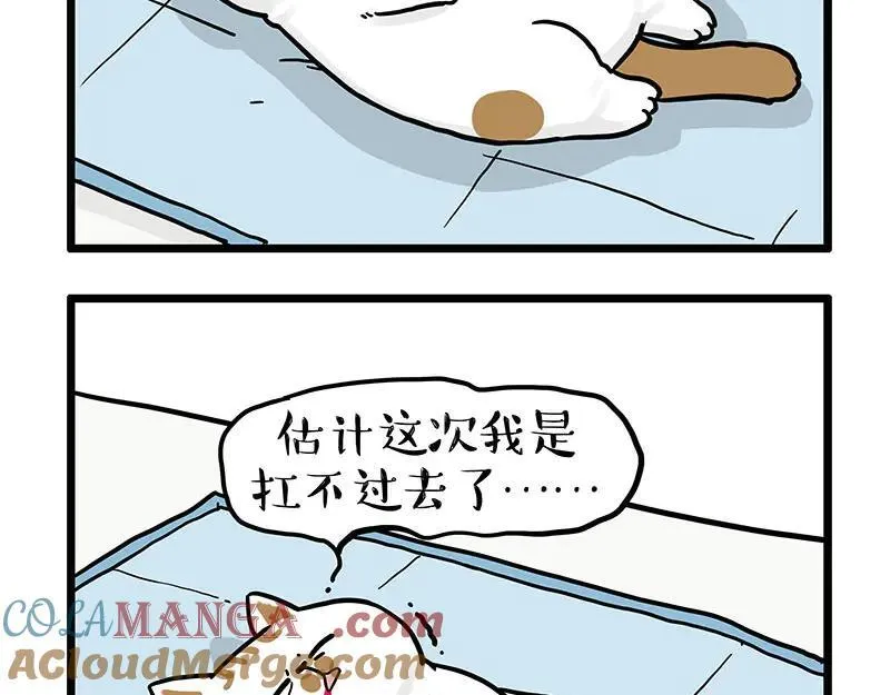 第441话 不要出卖老大！ 第3页