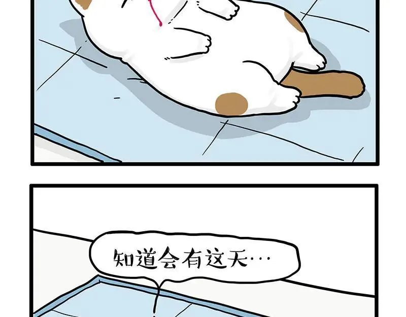 第441话 不要出卖老大！ 第4页