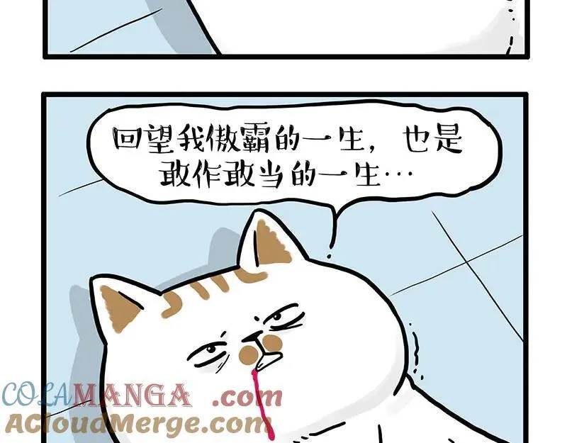 第441话 不要出卖老大！ 第7页