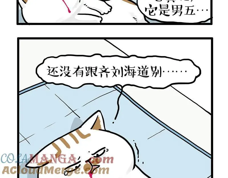 第441话 不要出卖老大！ 第13页