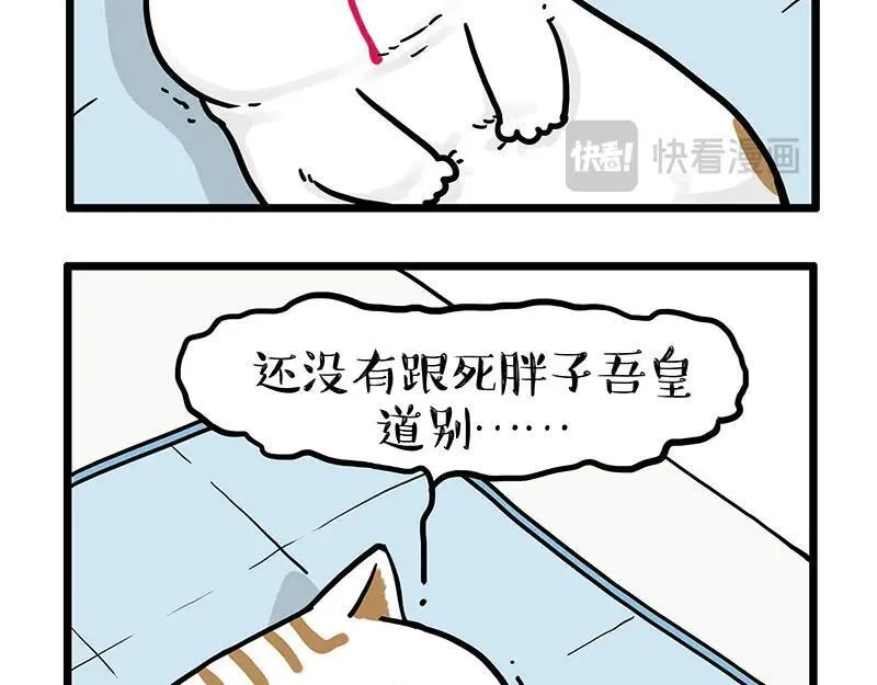 第441话 不要出卖老大！ 第14页