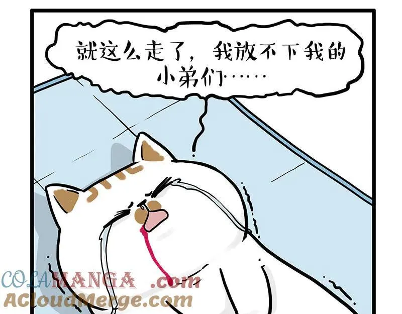第441话 不要出卖老大！ 第17页