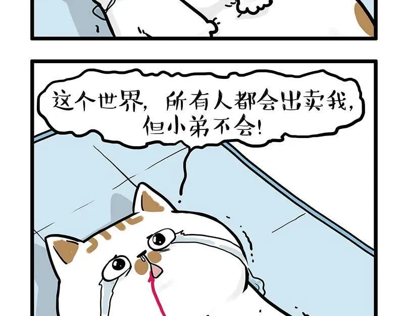第441话 不要出卖老大！ 第18页
