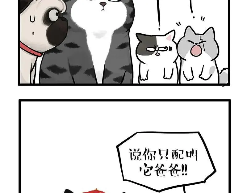 第441话 不要出卖老大！ 第20页