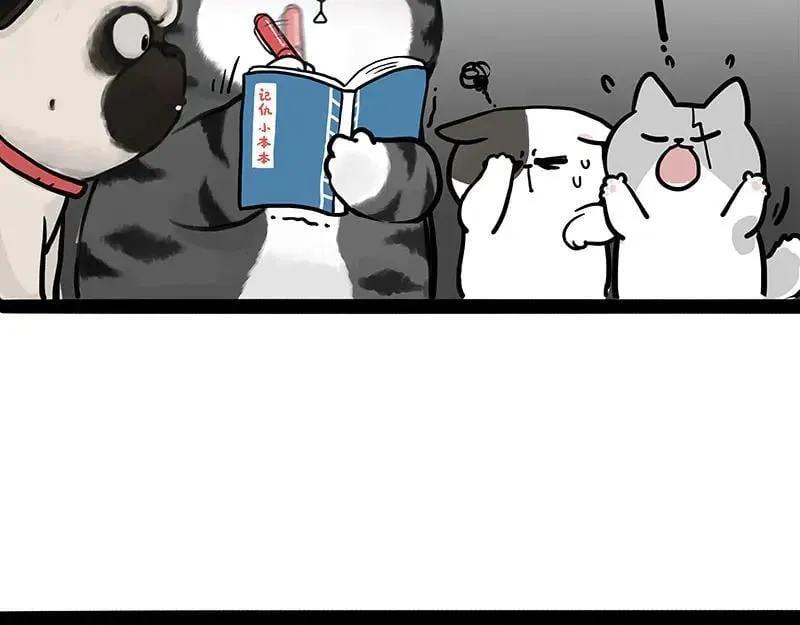 第442话 逆风的挑战 第2页