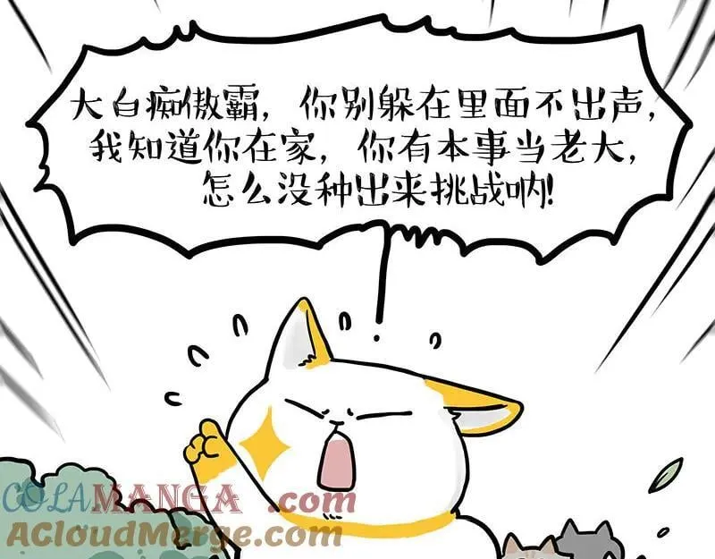 第442话 逆风的挑战 第5页