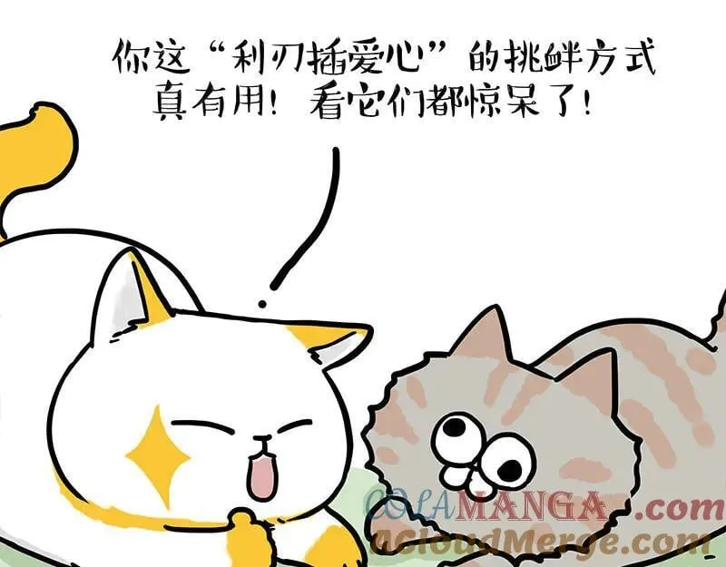 第442话 逆风的挑战 第17页