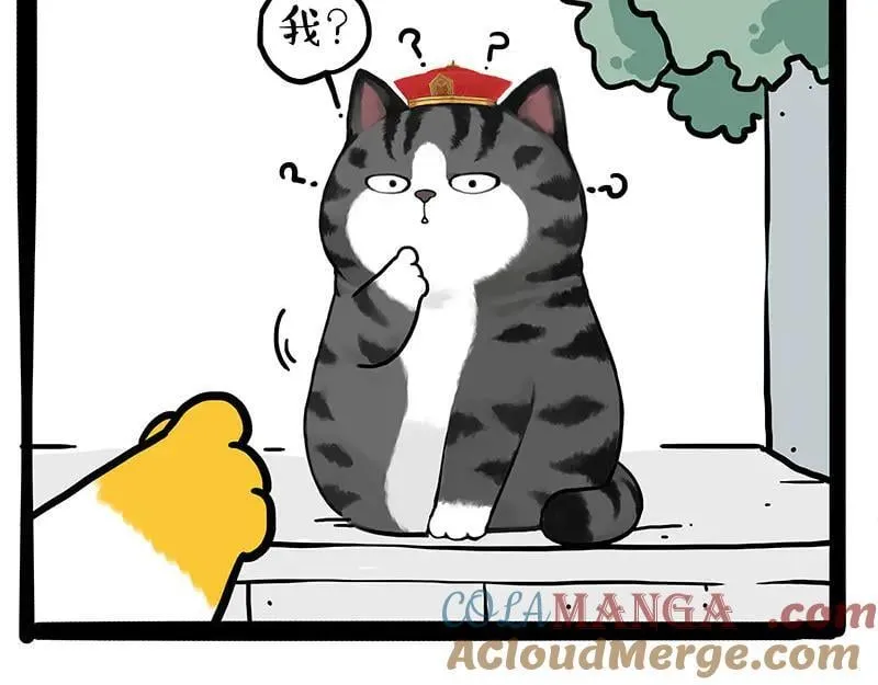 第442话 逆风的挑战 第23页