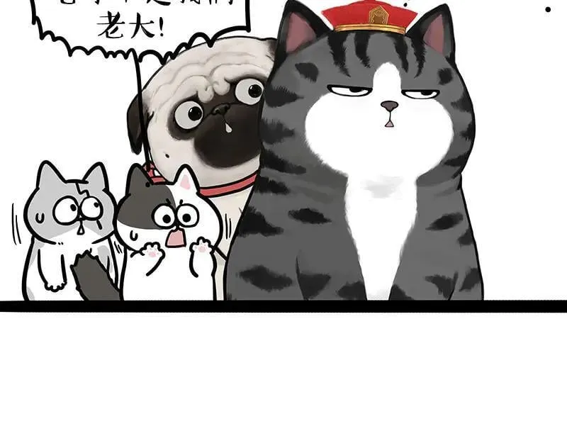 第442话 逆风的挑战 第28页
