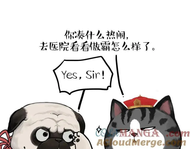 第442话 逆风的挑战 第37页
