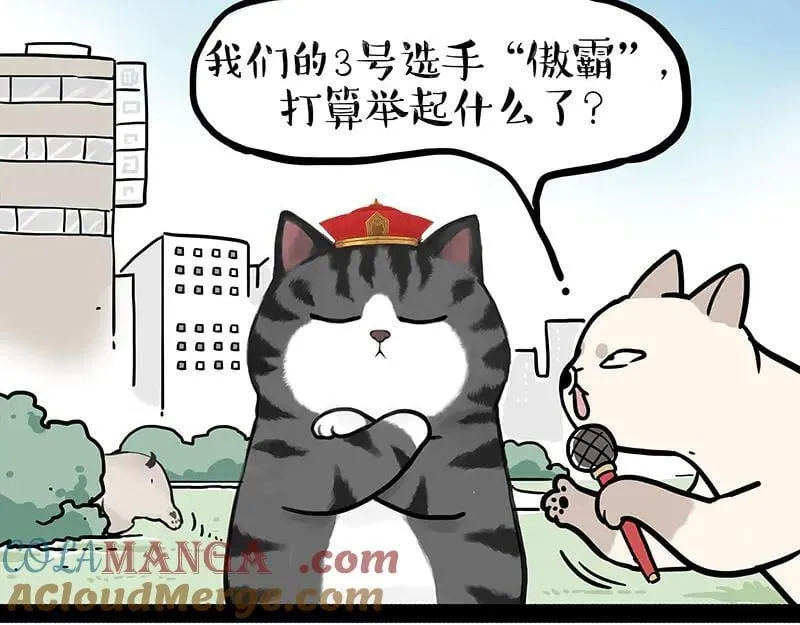 第442话 逆风的挑战 第39页