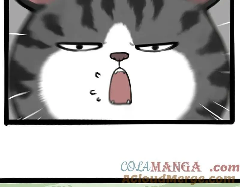 第442话 逆风的挑战 第41页