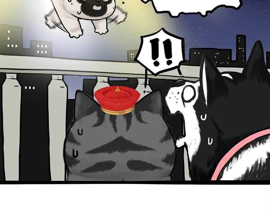 第444话 定！ 第2页