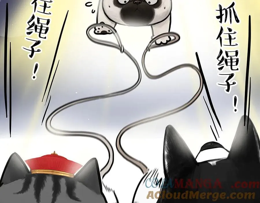 第444话 定！ 第5页