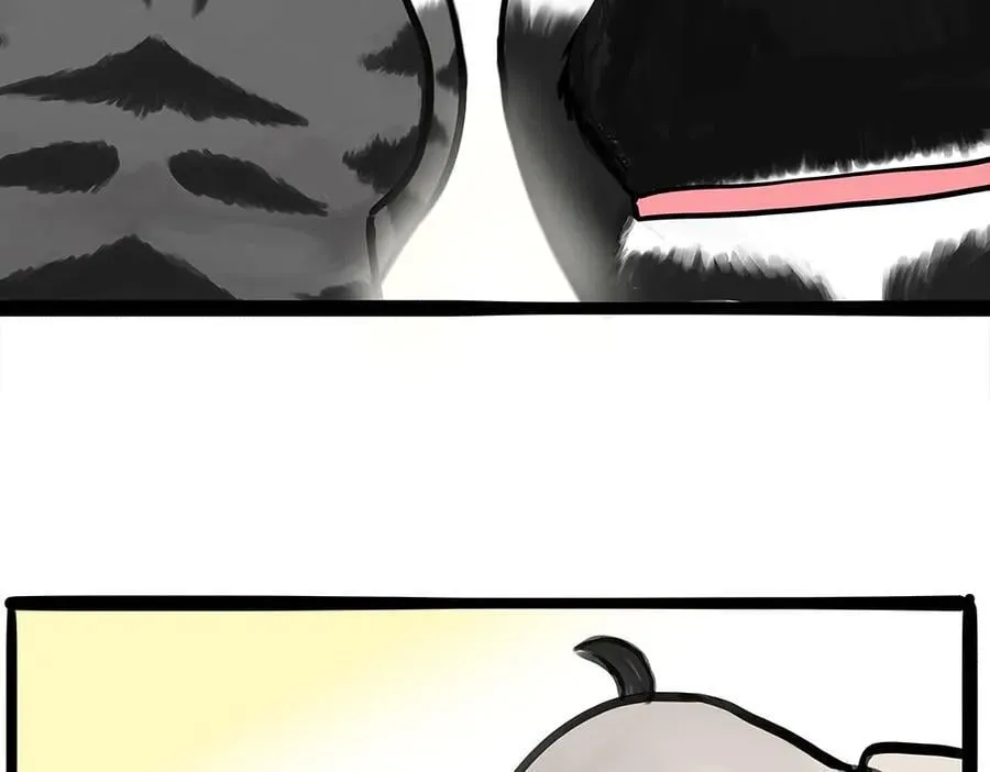 第444话 定！ 第6页