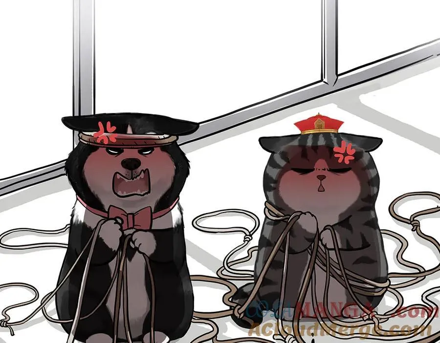 第444话 定！ 第13页