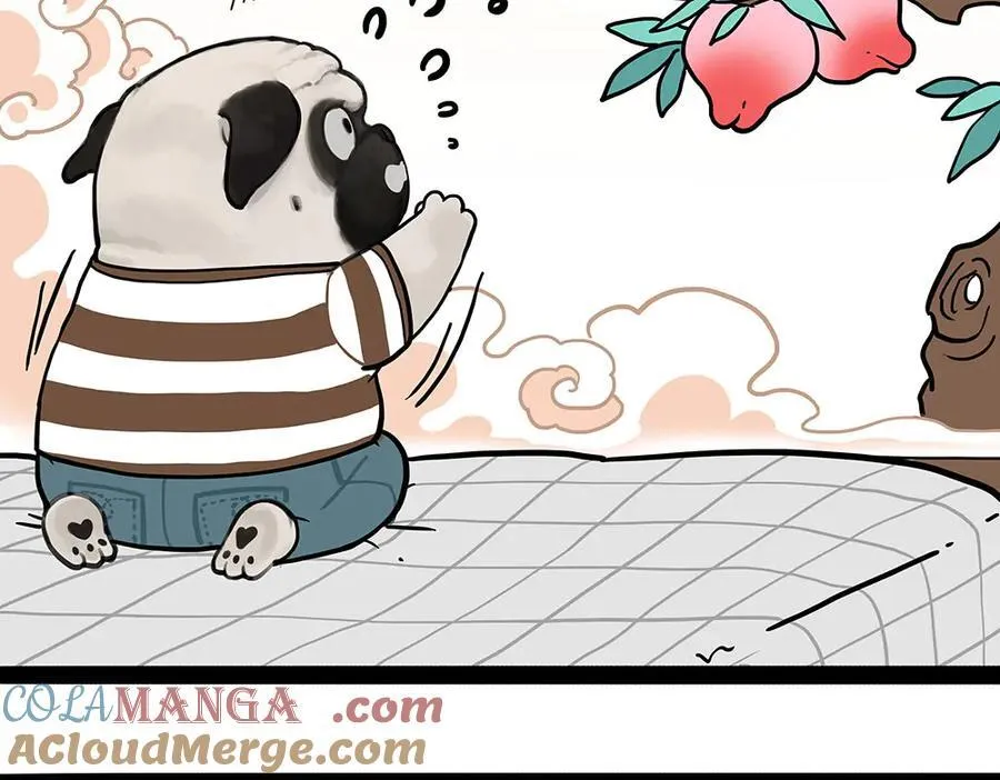 第444话 定！ 第35页