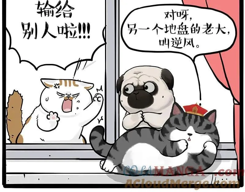 第445话 你就是傲霸？ 第10页