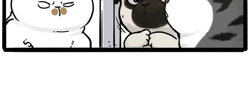 第445话 你就是傲霸？ 第14页