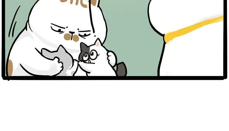 第445话 你就是傲霸？ 第38页