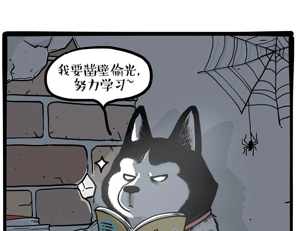 第447话 消息盲盒 第11页