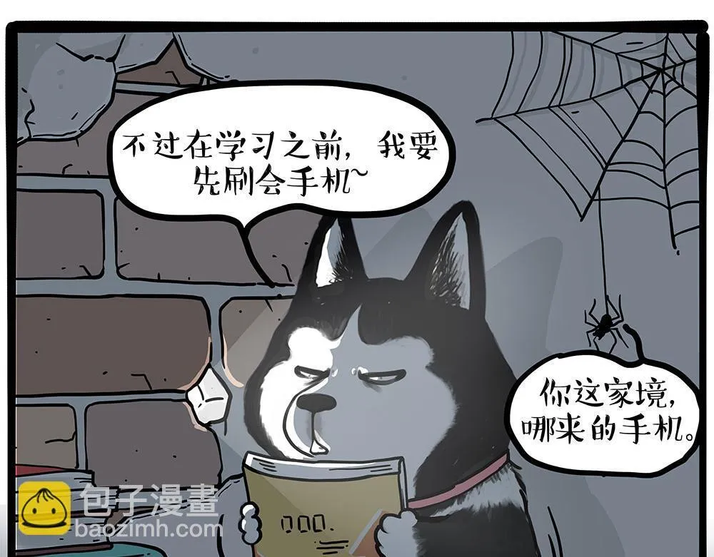 第447话 消息盲盒 第13页