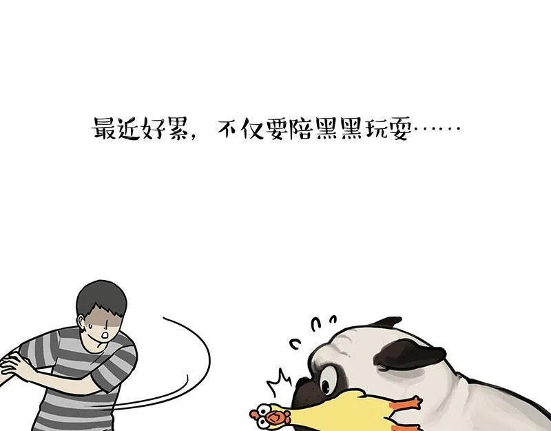 第447话 消息盲盒 第17页