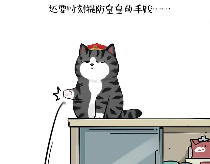 第447话 消息盲盒 第19页
