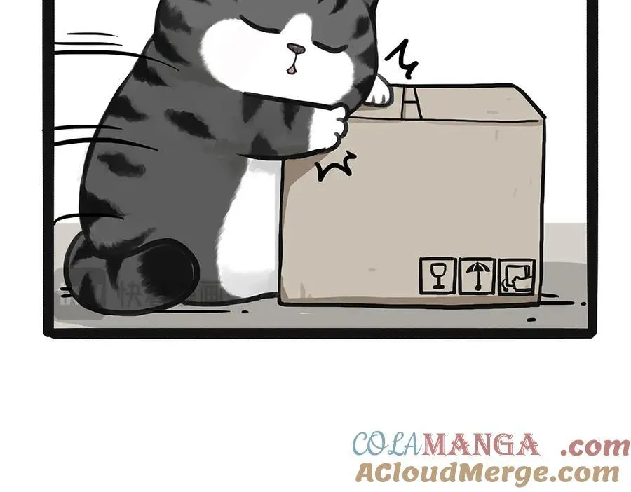 第449话 1111 第5页