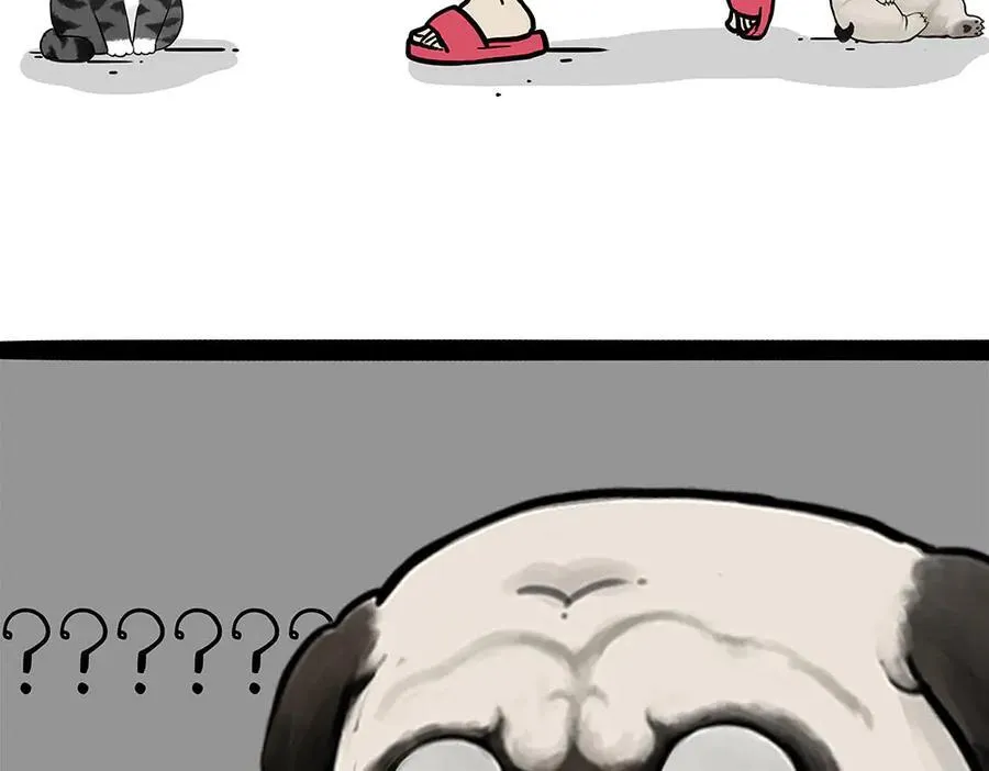 第450话 黑黑过来！ 第8页