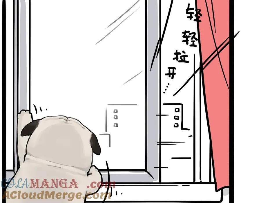 第450话 黑黑过来！ 第39页