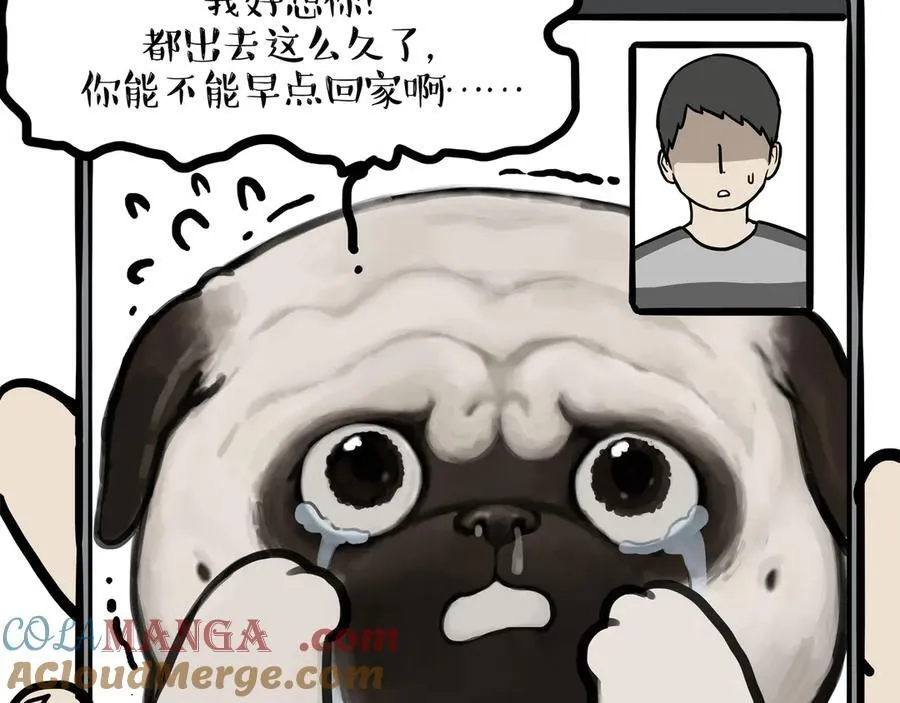 第451话 越养越像 第4页