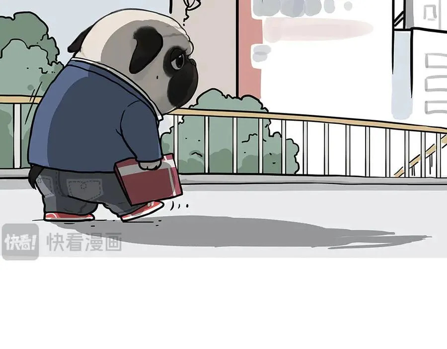 第452话 人生的容错率 第12页