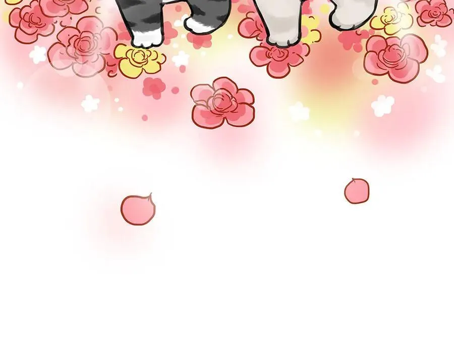 第452话 人生的容错率 第21页