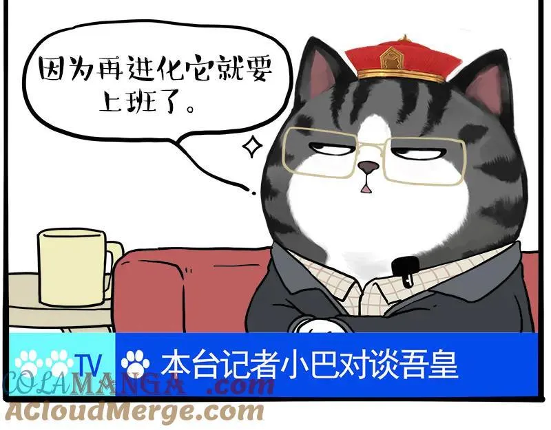第459话 了不起 第46页