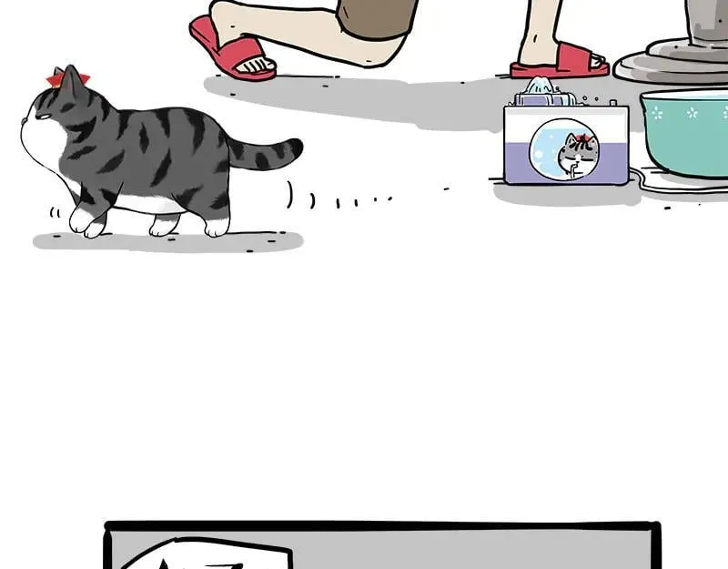 第460话 骗水 第11页