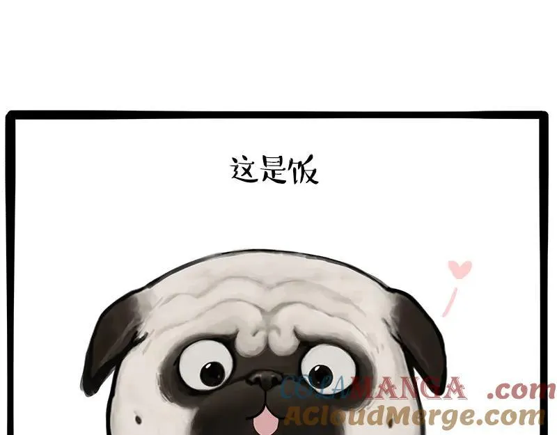 第462话 鸽王（被迫版） 第49页