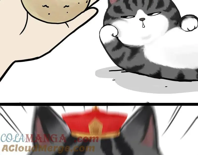 第463话 确诊为食物 第49页