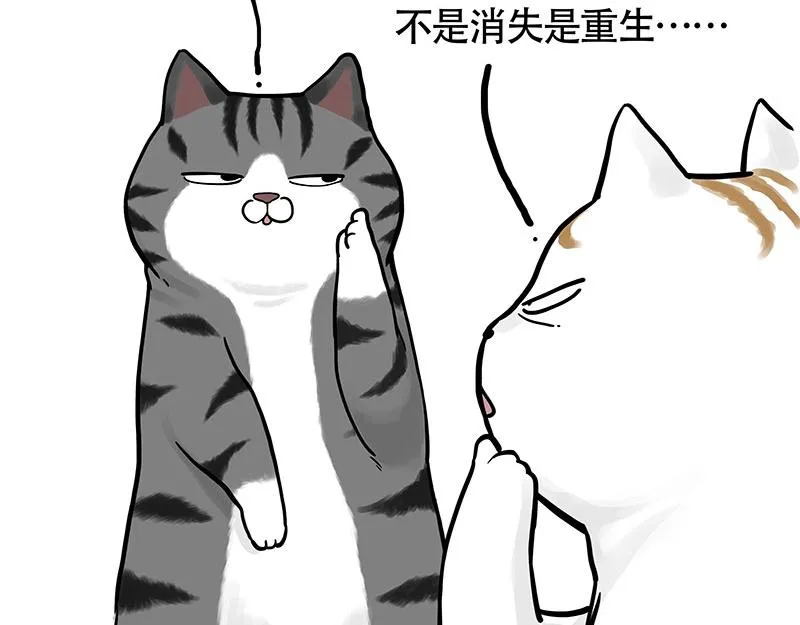 第322话 吾皇的孙子 第35页