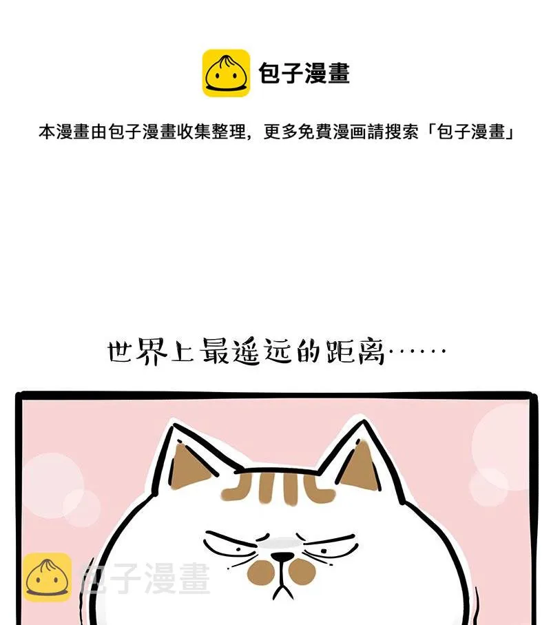 第320话 猫孵鱼 第1页
