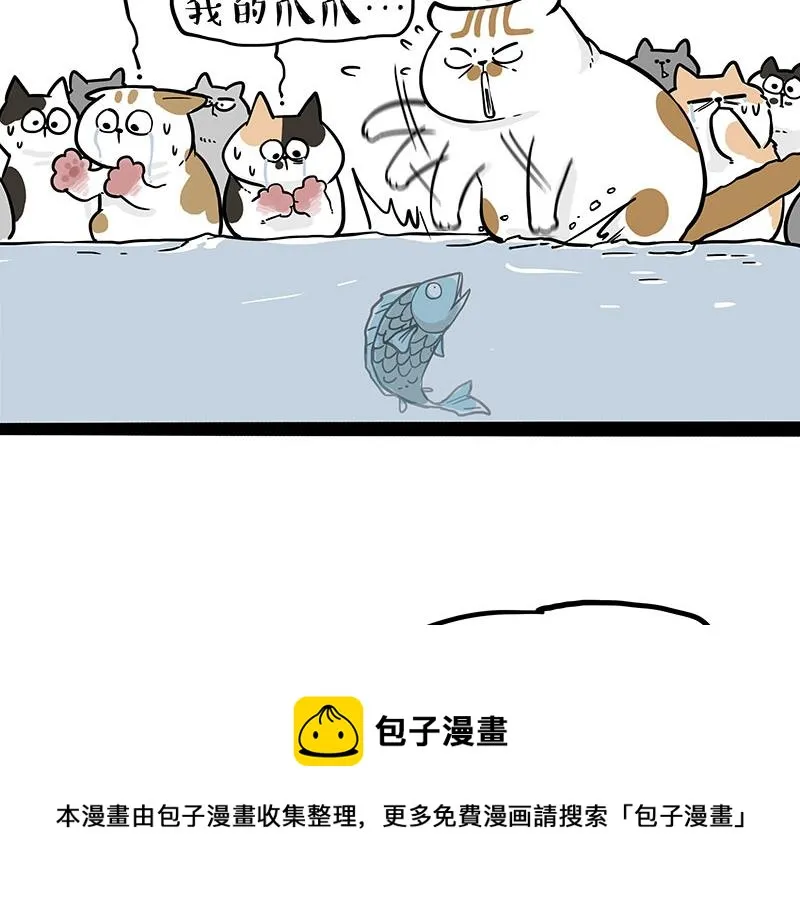 第320话 猫孵鱼 第5页