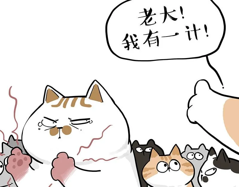 第320话 猫孵鱼 第6页