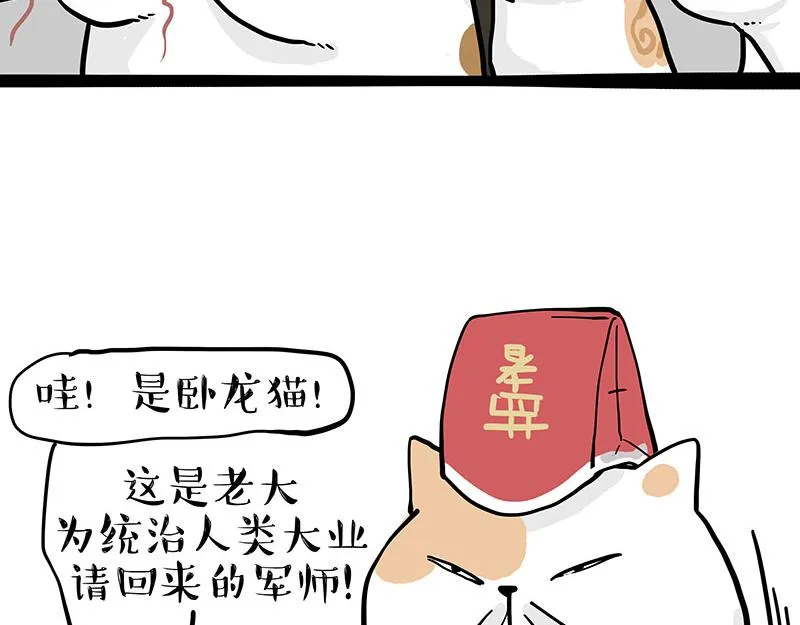 第320话 猫孵鱼 第7页