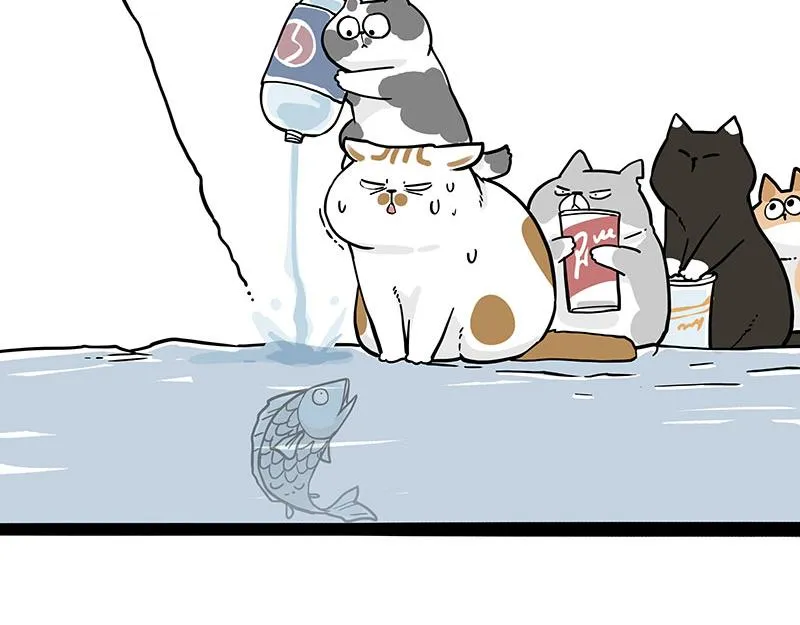 第320话 猫孵鱼 第11页