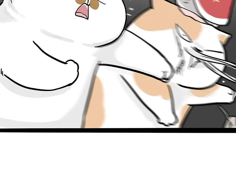 第320话 猫孵鱼 第14页