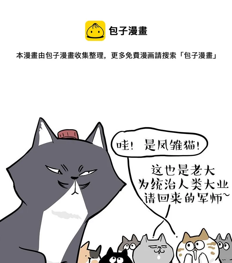 第320话 猫孵鱼 第17页